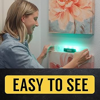 Franklin Sensors Light Level/Digital, Electronic, 12-inch
